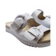 Chinelo Comfortflex 2345404